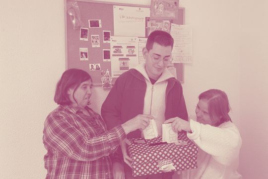 Programa de Asistente Personal para la autonomía